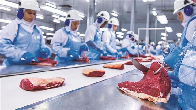 Imagen del sector de transporte y exportación de carne - Productos químicos para contenedores refrigerados en Myochemicals Nicaragua